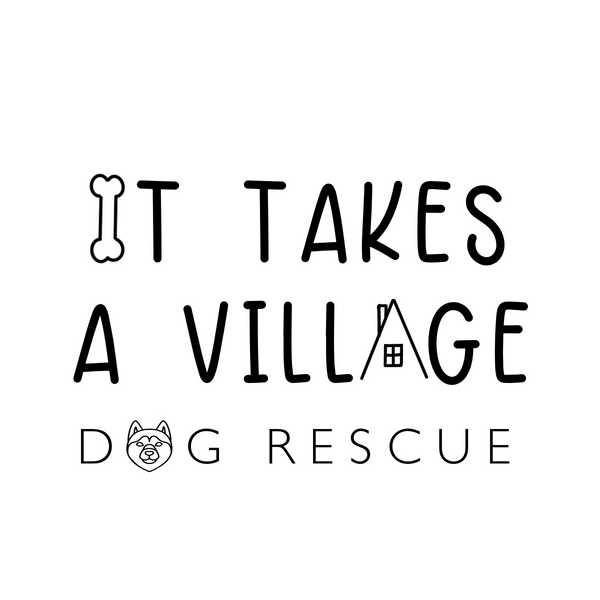 It Takes A Village Trivia Fundraiser -  May 21st 7pm